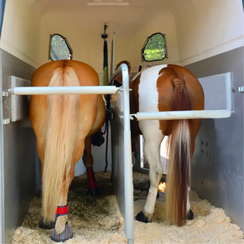 Transportista profesional cuidando caballo durante el traslado